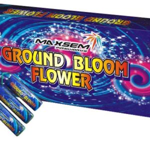 Петарды Жуки GW0901D